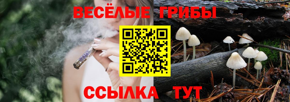 Псилоцибиновые грибы мухоморы  Галлюциногенные грибы прущие грибы  Вход с VPN  цена наркотик  Нижневартовск 